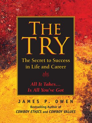 cover image of The Try